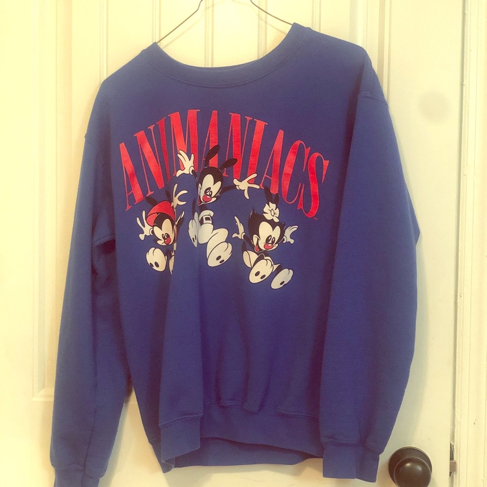 blue animaniacs sweater